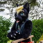 John Cooper - @johncooperbbw - Instagram