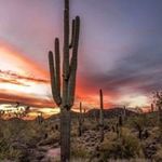 Johnny Coppage - @johnnycoppage - Instagram