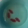 John Corum - @john.bun2 - TikTok