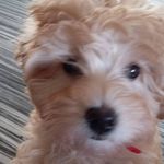 Liz Cosh - @john.cosh.77 - Instagram