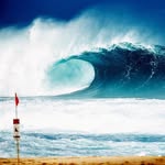 John Coster - @johndcoster - Instagram