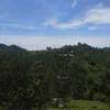 John Costoy - @john.costoy - TikTok