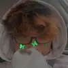 John Tenecota - @johntenecota4 - TikTok
