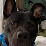 John Cotoia - @cotoiajohn - Instagram