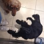 John Cotter - @cotter7312 - Instagram