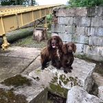 John Cotter - @johncotteryesaccounting - Instagram