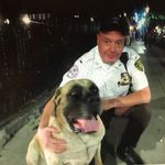 JOHN COTTER - @johnnyc698 - Instagram