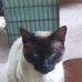 John COTTRELL - Facebook