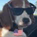 John Couch - Facebook