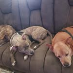 John L Couch - @john.couch11 - Instagram