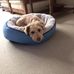John Couchman - Facebook