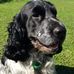 John Couchman - Facebook