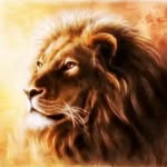 John courage success - @johncouragesuccess - Instagram
