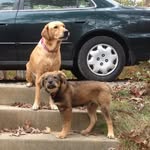 John Courtright - @xjac2002x - Instagram