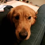 John Courtright - @john.courtright - Instagram