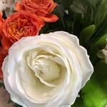 John Marlene Coxon - @johnmarlenecoxon - Instagram