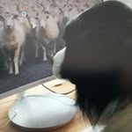 john crank - @johncrank66 - Instagram