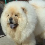 John Craparo - @dab101604 - Instagram