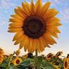 John Crayzy - @john.crayzy - TikTok