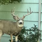 John Creager - Facebook