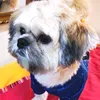 JohnCreasy1276 - @johncreasy1276 - TikTok