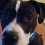 John Creech - @creech_john - Instagram