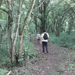 John Cregg - @johnjamescregg - Instagram