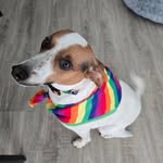 John Cregg - @johnscregg - Instagram