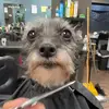 Josh Crerand - @joshcrerand - TikTok