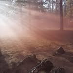 John Cripps - @john.cripps.5 - Instagram