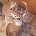 John Crissman - Facebook