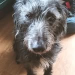 John Crocker - @john.crocker.14 - Instagram