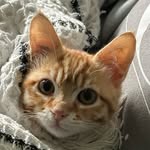 John Cromie - @chromium56 - Instagram