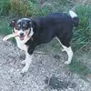 Johnnykiki - @johncrosey25340 - TikTok