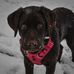 John Crosetto - Facebook