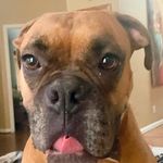 John Crosier - @jcrosier1 - Instagram
