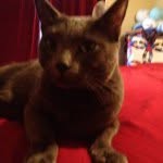 John Crow - @john_crow_ - Instagram