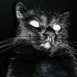 JOHN CROW - @john_crow - Instagram