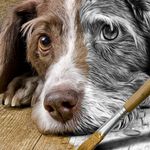 John Cuff - @johncuff140 - Instagram