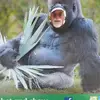 John Culberson - @johnculberson - TikTok