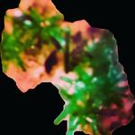 John Culbert - @johnvculbert55 - Instagram