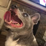 John Cupp - @cupp_john - Instagram