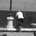 John Curcic - Facebook