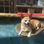 John Yurkunas Curcio - @john.curcio.779 - Instagram