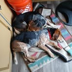 John Custer - Facebook
