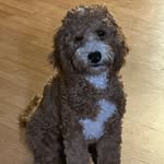 John Custer - @john.custer - Instagram