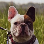 John Cutting - @jcutting458 - Instagram