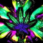 John Cuttingham - @cuttinghamjohn - Instagram