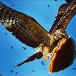 John Cutts - @john.cutts - Instagram
