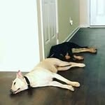 John Dabney - @john.dabney.779 - Instagram